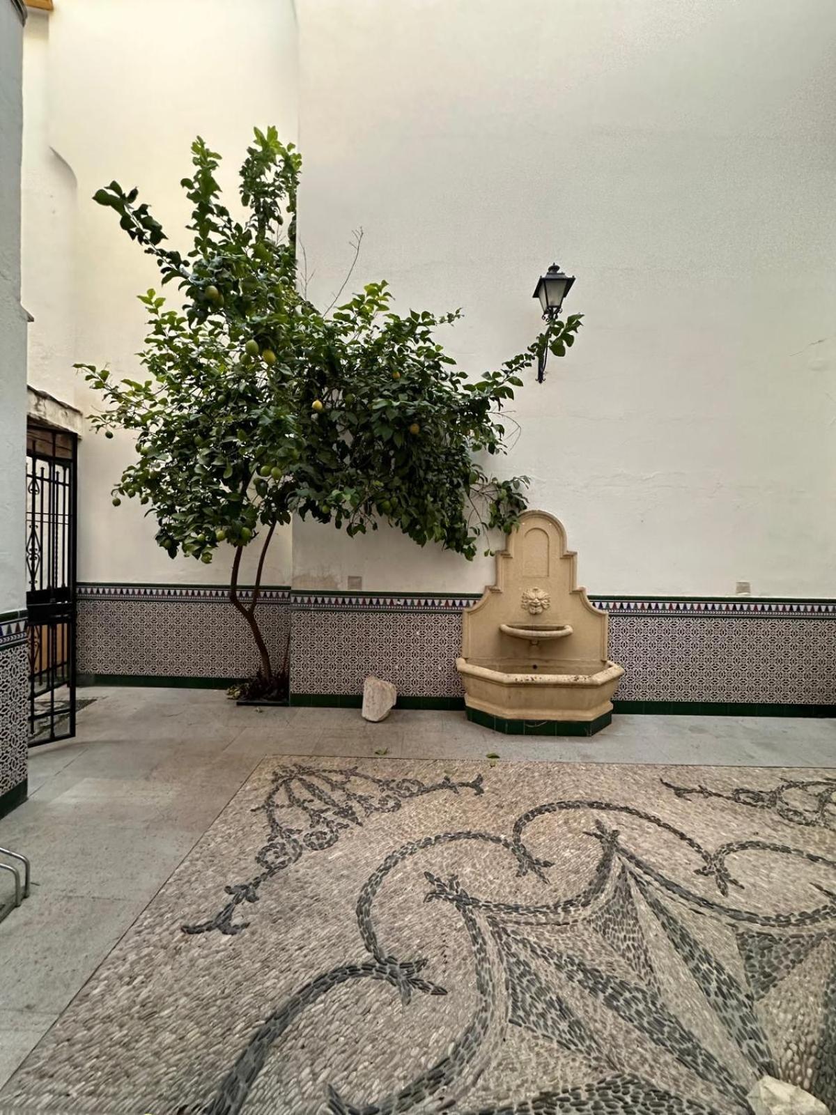 Appartement Au Centre De Gordoba Cordoba Dış mekan fotoğraf